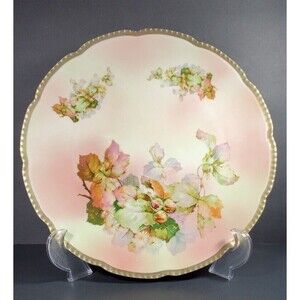Vtg Hand-Painted Royal Rudolstadt Large Porcelain Plate Floral Spider Webs